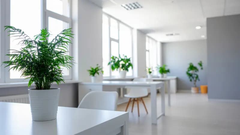 Fönsterputs av bostadshus