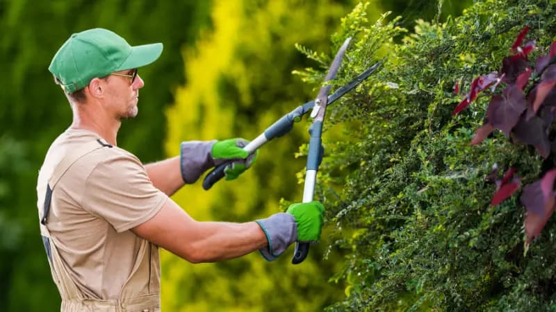 Nyanlagd villaträdgård med plattsättning